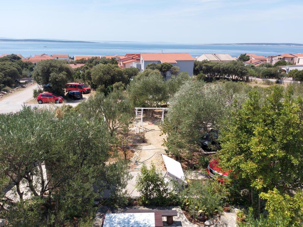 Gligora Apartment