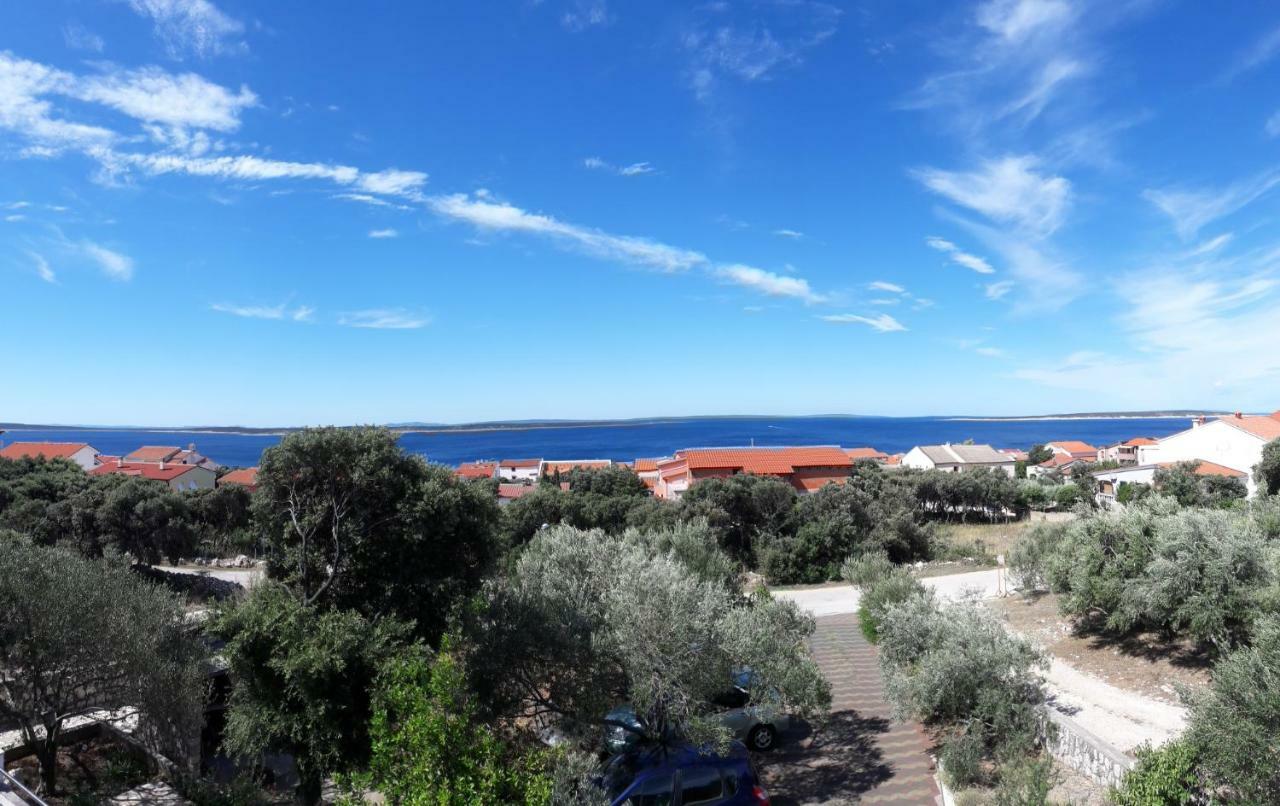 Apartment Gligora